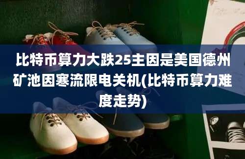 比特币算力大跌25主因是美国德州矿池因寒流限电关机(比特币算力难度走势)