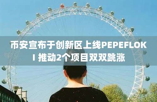 币安宣布于创新区上线PEPEFLOKI 推动2个项目双双跳涨