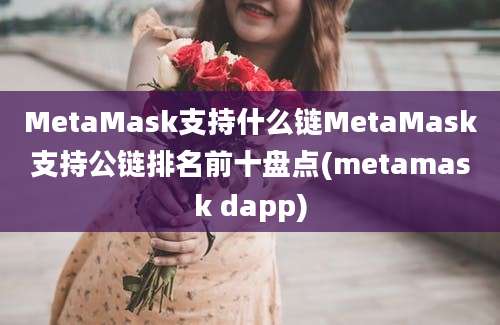 MetaMask支持什么链MetaMask支持公链排名前十盘点(metamask dapp)