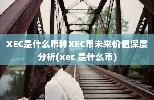 XEC是什么币种XEC币未来价值深度分析(xec 是什么币)