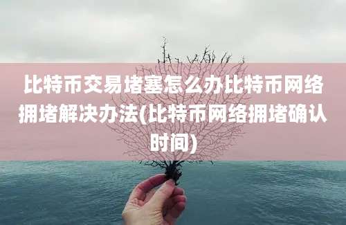 比特币交易堵塞怎么办比特币网络拥堵解决办法(比特币网络拥堵确认时间)