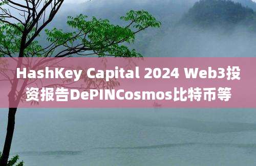 HashKey Capital 2024 Web3投资报告DePINCosmos比特币等