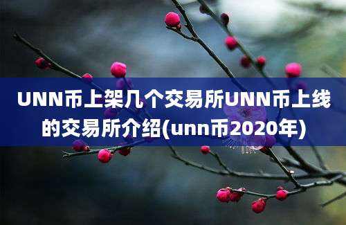 UNN币上架几个交易所UNN币上线的交易所介绍(unn币2020年)