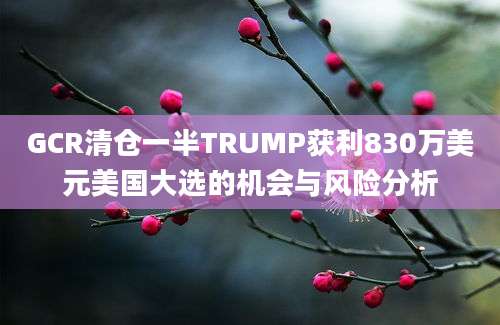 GCR清仓一半TRUMP获利830万美元美国大选的机会与风险分析