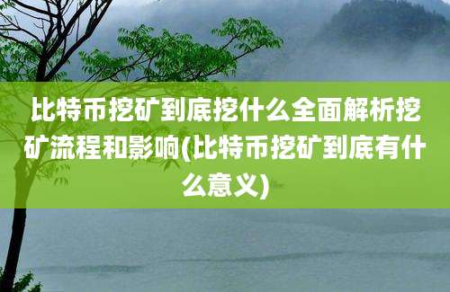 比特币挖矿到底挖什么全面解析挖矿流程和影响(比特币挖矿到底有什么意义)