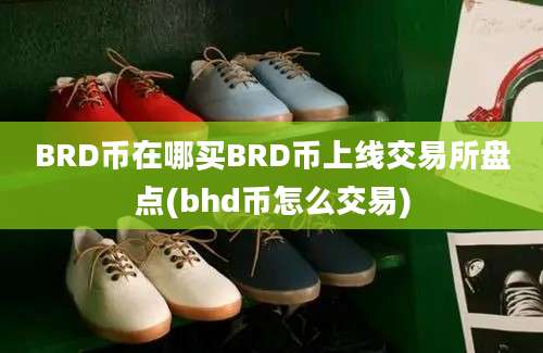 BRD币在哪买BRD币上线交易所盘点(bhd币怎么交易)