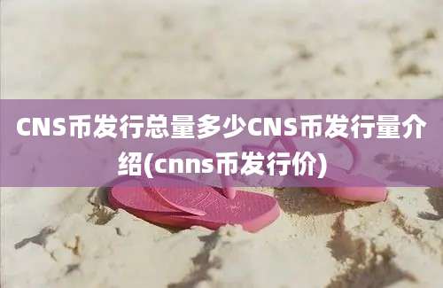 CNS币发行总量多少CNS币发行量介绍(cnns币发行价)