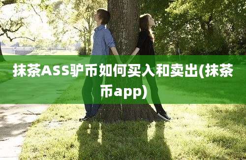 抹茶ASS驴币如何买入和卖出(抹茶币app)