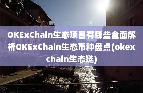 OKExChain生态项目有哪些全面解析OKExChain生态币种盘点(okexchain生态链)