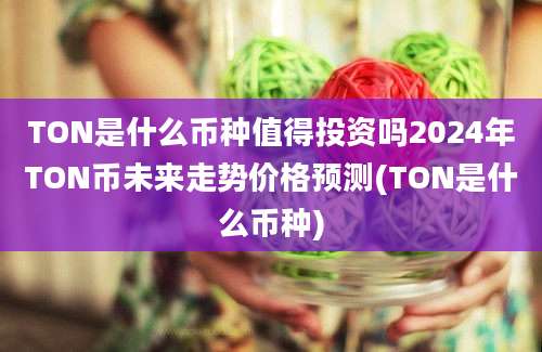 TON是什么币种值得投资吗2024年TON币未来走势价格预测(TON是什么币种)