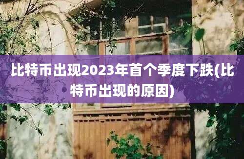 比特币出现2023年首个季度下跌(比特币出现的原因)