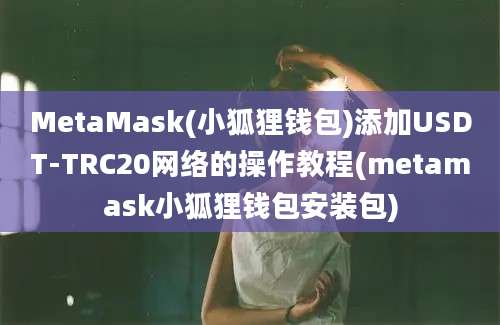 MetaMask(小狐狸钱包)添加USDT-TRC20网络的操作教程(metamask小狐狸钱包安装包)