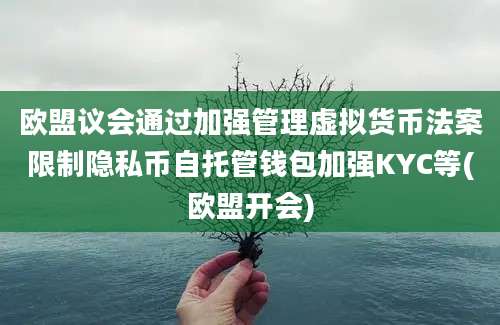 欧盟议会通过加强管理虚拟货币法案限制隐私币自托管钱包加强KYC等(欧盟开会)