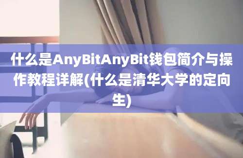 什么是AnyBitAnyBit钱包简介与操作教程详解(什么是清华大学的定向生)