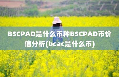 BSCPAD是什么币种BSCPAD币价值分析(bcac是什么币)