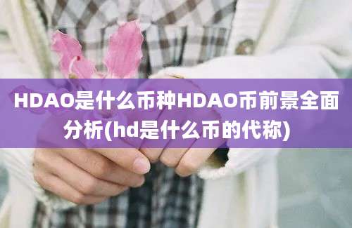 HDAO是什么币种HDAO币前景全面分析(hd是什么币的代称)