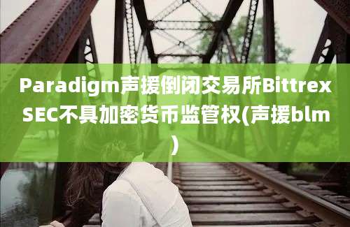 Paradigm声援倒闭交易所BittrexSEC不具加密货币监管权(声援blm)