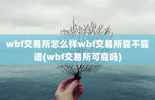 wbf交易所怎么样wbf交易所靠不靠谱(wbf交易所可靠吗)