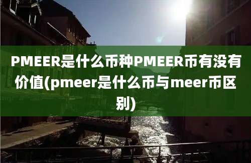 PMEER是什么币种PMEER币有没有价值(pmeer是什么币与meer币区别)