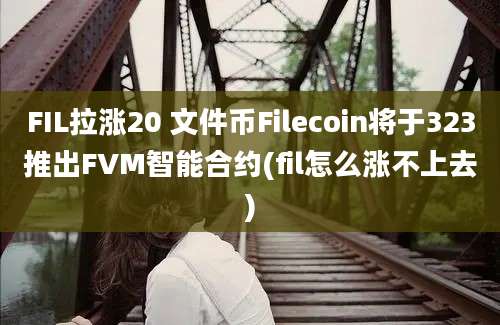 FIL拉涨20 文件币Filecoin将于323推出FVM智能合约(fil怎么涨不上去)