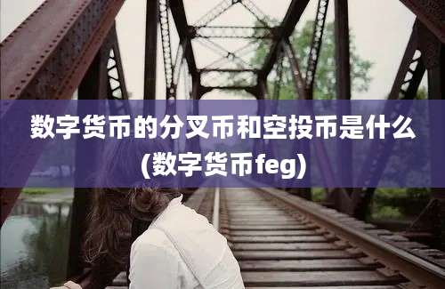 数字货币的分叉币和空投币是什么(数字货币feg)