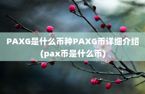 PAXG是什么币种PAXG币详细介绍(pax币是什么币)