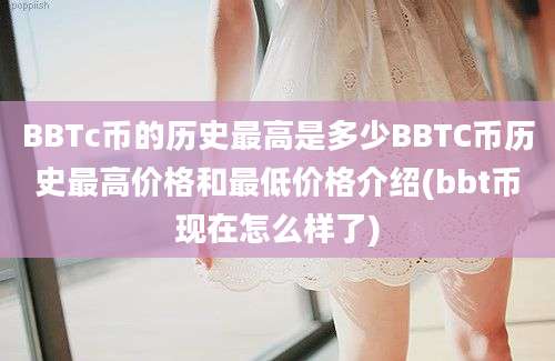 BBTc币的历史最高是多少BBTC币历史最高价格和最低价格介绍(bbt币现在怎么样了)