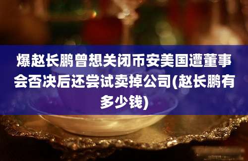 爆赵长鹏曾想关闭币安美国遭董事会否决后还尝试卖掉公司(赵长鹏有多少钱)