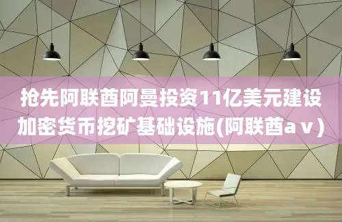 抢先阿联酋阿曼投资11亿美元建设加密货币挖矿基础设施(阿联酋aⅴ)