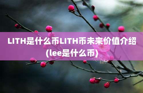 LITH是什么币LITH币未来价值介绍(lee是什么币)