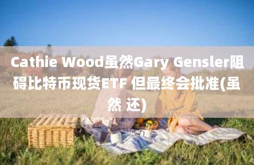 Cathie Wood虽然Gary Gensler阻碍比特币现货ETF 但最终会批准(虽然 还)