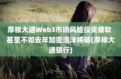 摩根大通Web3市场风险投资疲软 甚至不如去年加密泡沫将破(摩根大通银行)