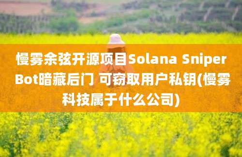 慢雾余弦开源项目Solana Sniper Bot暗藏后门 可窃取用户私钥(慢雾科技属于什么公司)