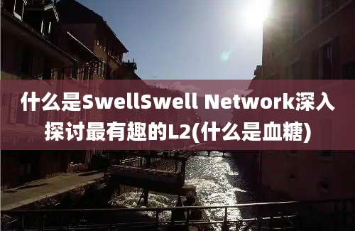 什么是SwellSwell Network深入探讨最有趣的L2(什么是血糖)