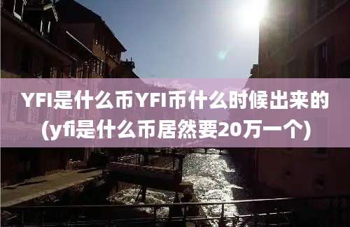 YFI是什么币YFI币什么时候出来的(yfi是什么币居然要20万一个)