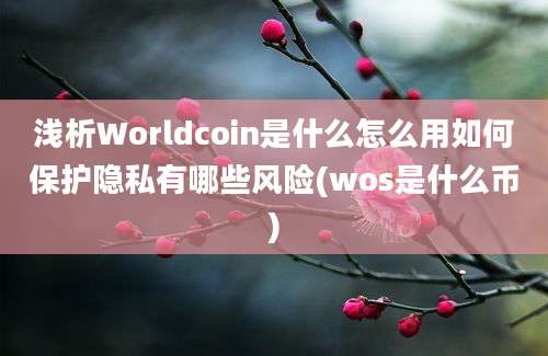 浅析Worldcoin是什么怎么用如何保护隐私有哪些风险(wos是什么币)