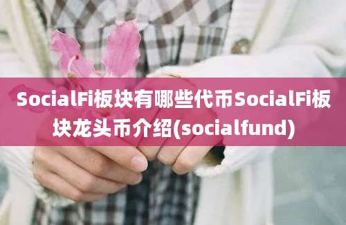 SocialFi板块有哪些代币SocialFi板块龙头币介绍(socialfund)