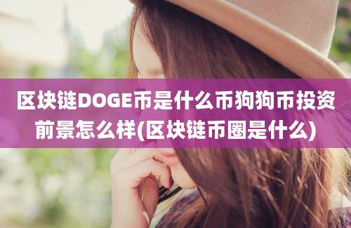 区块链DOGE币是什么币狗狗币投资前景怎么样(区块链币圈是什么)