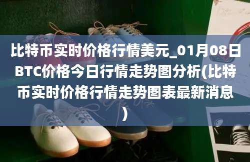 比特币实时价格行情美元_01月08日BTC价格今日行情走势图分析(比特币实时价格行情走势图表最新消息)