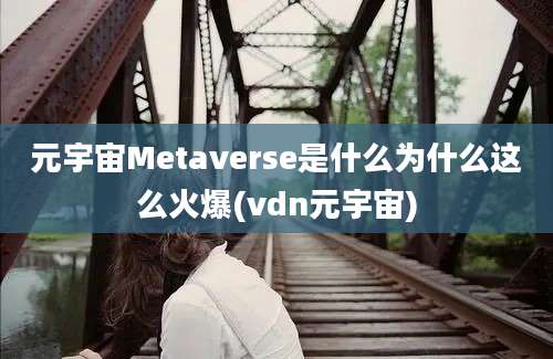 元宇宙Metaverse是什么为什么这么火爆(vdn元宇宙)