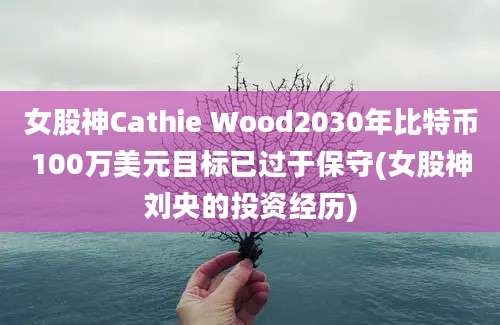 女股神Cathie Wood2030年比特币100万美元目标已过于保守(女股神刘央的投资经历)