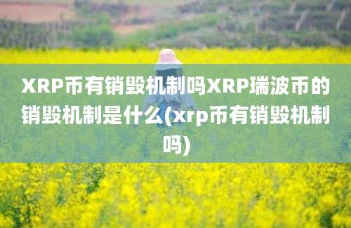 XRP币有销毁机制吗XRP瑞波币的销毁机制是什么(xrp币有销毁机制吗)