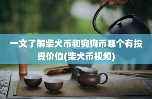 一文了解柴犬币和狗狗币哪个有投资价值(柴犬币视频)