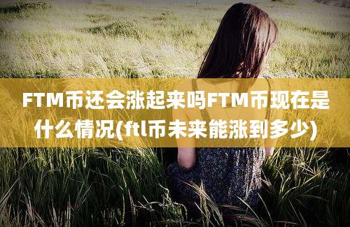 FTM币还会涨起来吗FTM币现在是什么情况(ftl币未来能涨到多少)