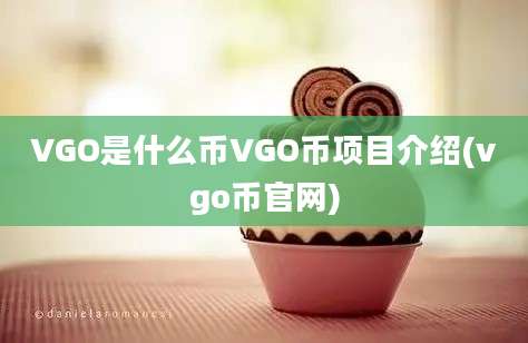 VGO是什么币VGO币项目介绍(vgo币官网)