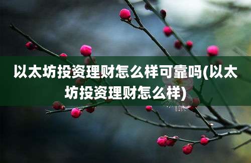 以太坊投资理财怎么样可靠吗(以太坊投资理财怎么样)