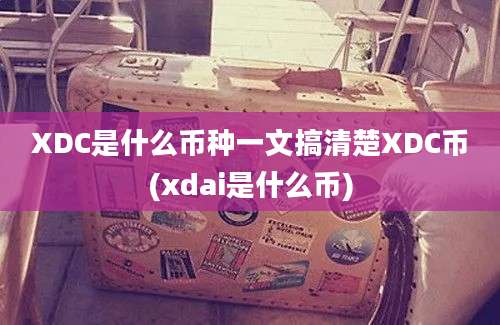 XDC是什么币种一文搞清楚XDC币(xdai是什么币)