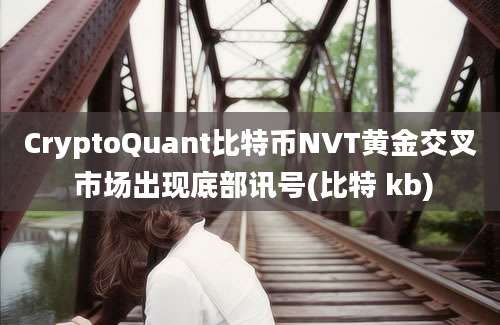 CryptoQuant比特币NVT黄金交叉 市场出现底部讯号(比特 kb)