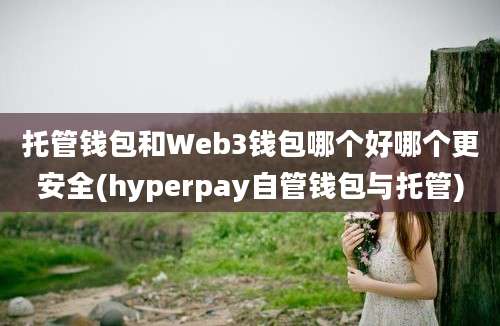 托管钱包和Web3钱包哪个好哪个更安全(hyperpay自管钱包与托管)