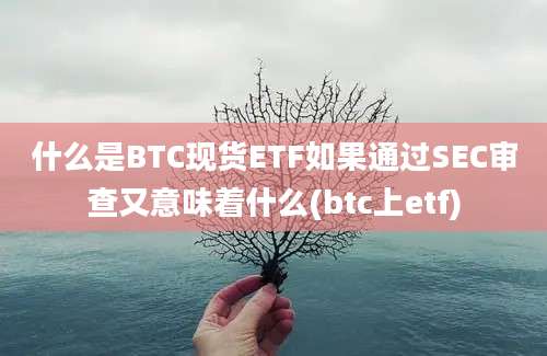 什么是BTC现货ETF如果通过SEC审查又意味着什么(btc上etf)